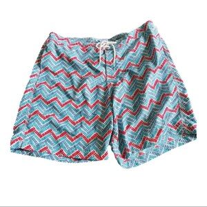 Trunks surf and swim co board shorts